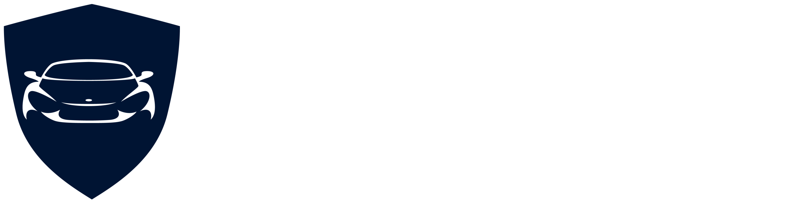 Nueva Movilidad